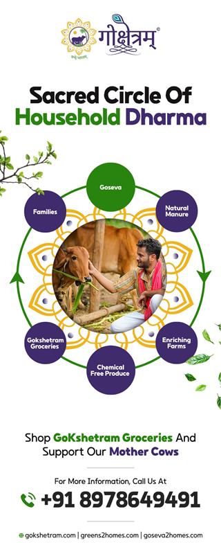 Cow and Products